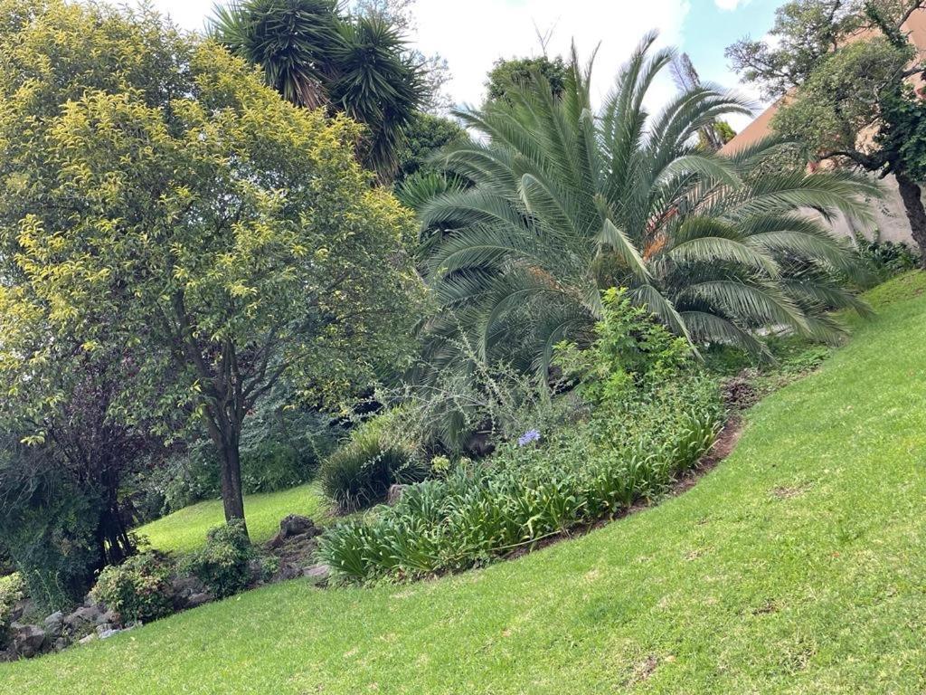 The South Way Bed & Breakfast Johannesburg Exterior photo